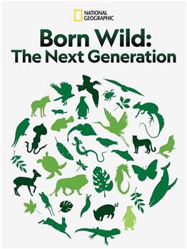 Born Wild: The Next Generation在线观看和下载