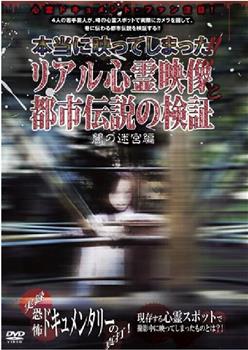 本当に映ってしまった!!リアル心霊映像と都市伝説の検証 闇の迷宮編在线观看和下载