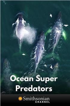 Ocean Super Predators在线观看和下载