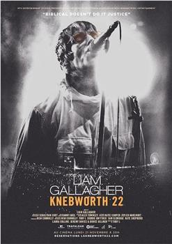 Liam Gallagher: Knebworth 22在线观看和下载