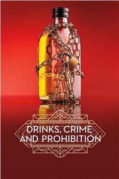 酒精、犯罪与禁酒令在线观看和下载