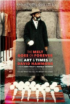 融化永不停息：大卫·哈蒙斯的艺术与时代在线观看和下载