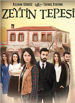 Zeytin Tepesi在线观看和下载
