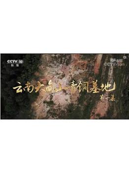 云南大甸山青铜墓地在线观看和下载