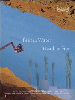 Feet in Water, Head on Fire在线观看和下载