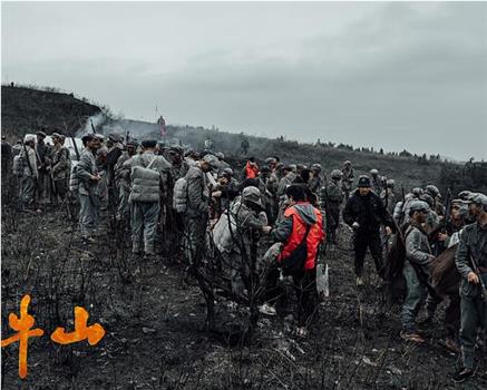 浴血困牛山在线观看和下载