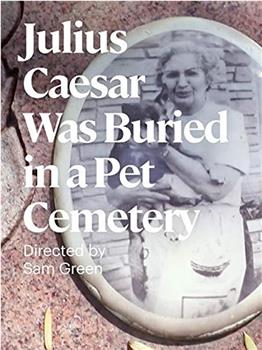 凯撒大帝埋葬在宠物墓园在线观看和下载