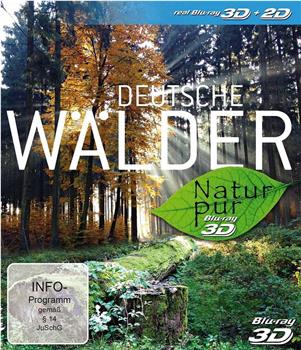 纯净的大自然：德意志森林在线观看和下载