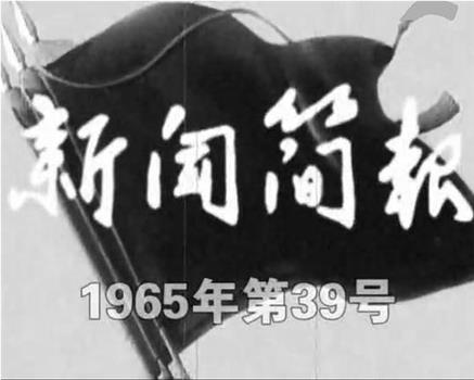 新闻简报1965年第39号在线观看和下载