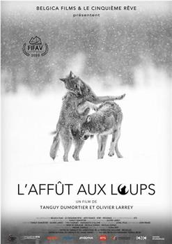 L'affût aux loups在线观看和下载