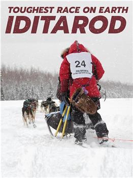 爱迪塔罗德狗拉雪橇比赛 第一季在线观看和下载