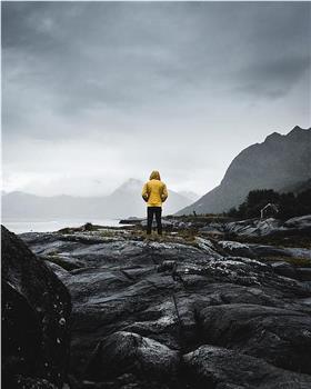 雷神陷阱在线观看和下载