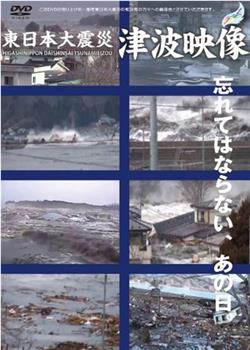 東日本大震災 津波映像在线观看和下载