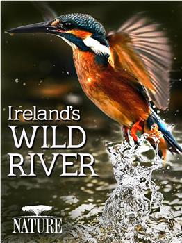 爱尔兰荒野河流在线观看和下载