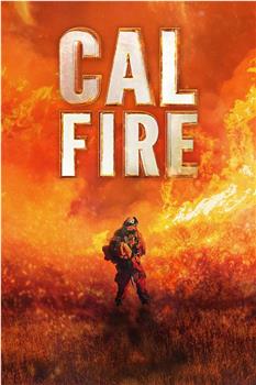 Cal Fire Season 1在线观看和下载
