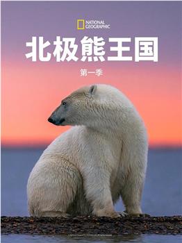 北极熊王国 第一季在线观看和下载