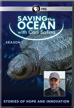 Saving the Ocean with Carl Safina Season 1在线观看和下载