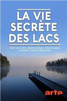 Secret Life of Lakes Season 1在线观看和下载