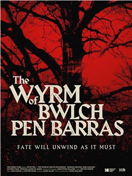 The Wyrm of Bwlch Pen Barras在线观看和下载