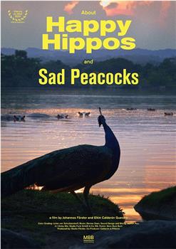 About Happy Hippos and Sad Peacocks在线观看和下载