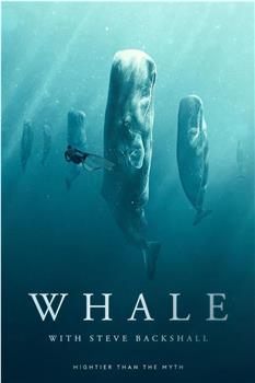 Whale with Steve Backshall Season 1在线观看和下载