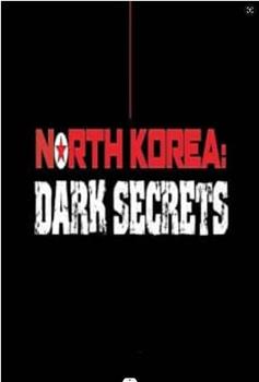 朝鲜：黑暗的秘密在线观看和下载