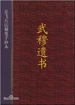 寻找武穆遗书在线观看和下载