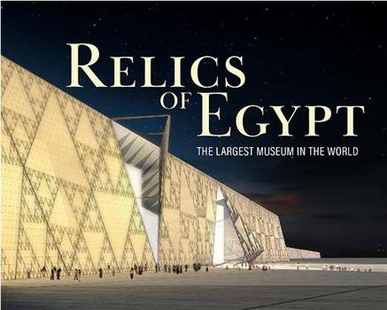 Le Grand Musée égyptien, un chantier pharaonique在线观看和下载