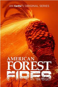 American Forest Fires: The Untold Story Season 1在线观看和下载