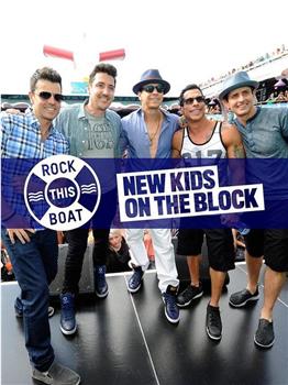 Rock This Boat: New Kids on the Block Season 1在线观看和下载