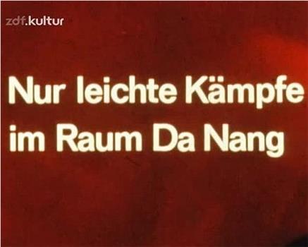 Nur leichte Kämpfe im Raum Da Nang在线观看和下载