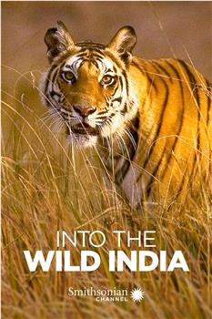 Into the Wild: India Season 1在线观看和下载