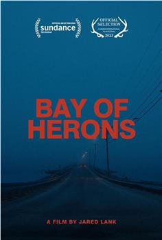 Bay of Herons在线观看和下载