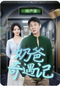 奶爸奇遇记在线观看和下载