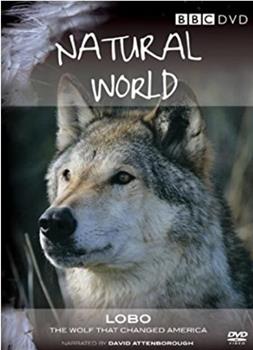 Lobo: The Wolf That Changed America在线观看和下载