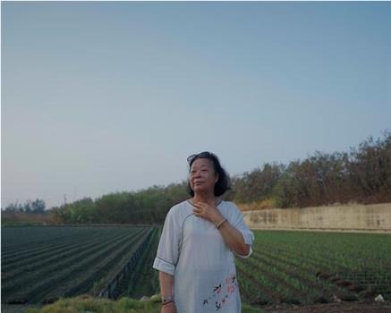 歡迎光臨海口村在线观看和下载