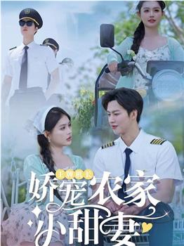 王牌机长娇宠农家小甜妻在线观看和下载