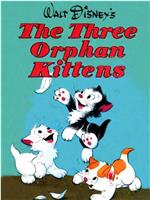 三只孤儿猫在线观看和下载