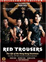 红裤子：香港特技打仔的生活在线观看和下载
