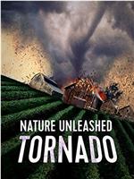 Nature Unleashed: Tornado在线观看和下载