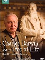 达尔文和生命之树在线观看和下载