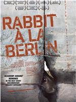 柏林墙的野兔在线观看和下载