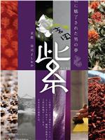 紫在线观看和下载