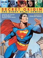秘密起源:DC漫画故事在线观看和下载
