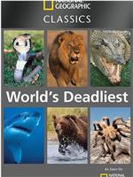 世界致命动物系列：非洲篇在线观看和下载