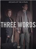 "The X Files" 8.16 Three Words在线观看和下载