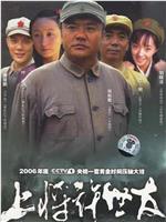 上将许世友在线观看和下载