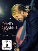 David Garrett Live in Berlin在线观看和下载