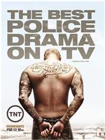 南城警事 第五季在线观看和下载