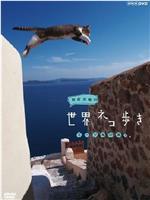 岩合光昭的猫步走世界在线观看和下载